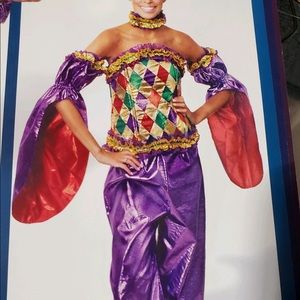 Female Mardi Gras jester costume L/XL